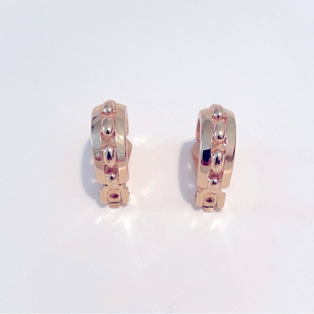 Christian Dior Earrings + Dust Bag